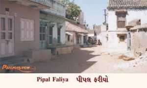 panjokutch.com Faliya