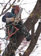 Faller