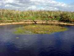 dewponds.co.uk Falmer