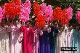 news.enorth.com.cn Fangchao
