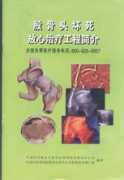 hggk.com Fangxin