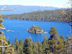 americansouthwest.net Fannette