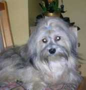 Fanni