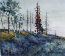 Fanshaw