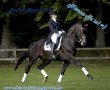 angel-lp.gportal.hu Fantaa