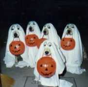 humor12.com Fantasmas
