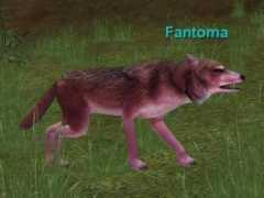 everquest.allakhazam.com Fantoma