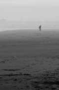 photoposts.net Fantome