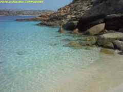 Faone