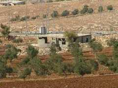 ynetnews.com Faradis