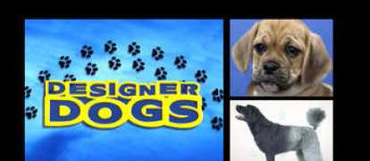 workdogpro.com Farbood