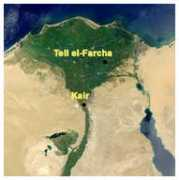 Farcha