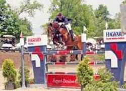 floridahorse.com Fargis