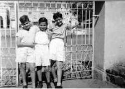 midrash.org Farhud