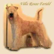 villarosa.se Faridd