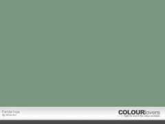 colourlovers.com Faride