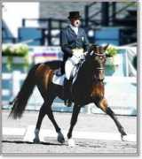 waterburydressage.com Farisal