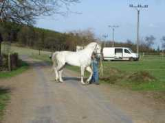Farista