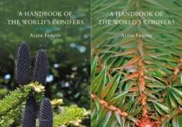 pinetum.org Farjon