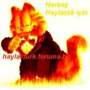 loadtr.com Farkedermi