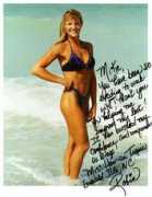 bodydesignbymike.com Farless