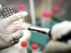 entornointeligente.com Farmaco