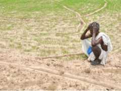 Farmer