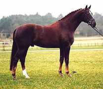 limestonestables.com Farrington