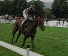 stallallegra.ch Fasida