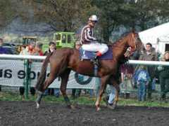 stallallegra.ch Fasida