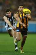 Fasolo