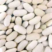 Fasolya