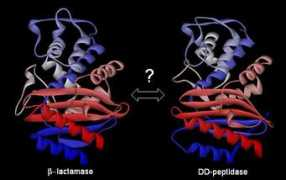 uclouvain.be Fastrez