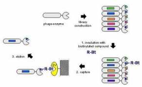 uclouvain.be Fastrez