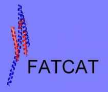 Fatcat
