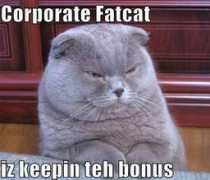 Fatcat