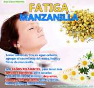 jorgevaleranatura.com Fatiga