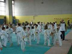 judo-vaison.com Faulconnier
