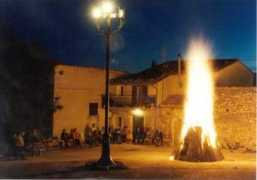 pereto.info Fauni