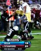 ruleoftree.com Fauria