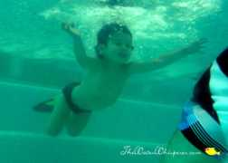 silverlakemom.com Fauset