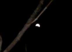 Fauti