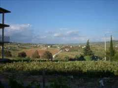 panoramio.com Favara