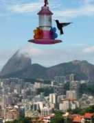 nileguide.com Favelinha