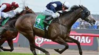 news.com.au Fawkner