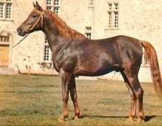 lydielemmens.free.fr Fawsan
