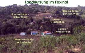.geog.uni-heidelberg.de Faxinal