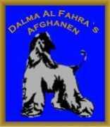 afghans4u.de Fayani