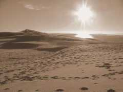 trekearth.com Fayouz