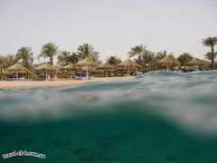 Fayrouz